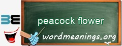 WordMeaning blackboard for peacock flower